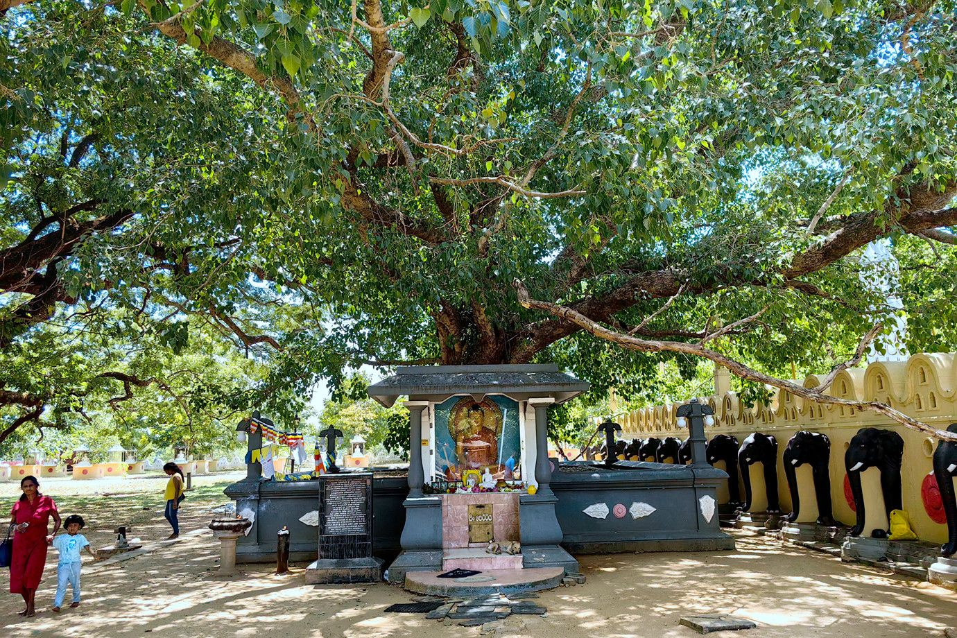 斯里蘭卡-瑪興洋嘎納舍利塔 Mahiyangana Raja Maha Vihara